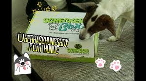 Schecker hat sich der hochwertigen ausstattung von hundebesitzern und ihren vierbeinern verschrieben. Schecker Box Uberraschungsbox Fur Hunde Juni 2019 Youtube