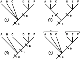 Systematics Exposing Myths Part Ii Cladistics