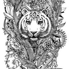 Zeichnung zum ausdrucken und färben. Tiger Ausmalbilder Fur Erwachsene Kostenlos Zum Ausdrucken