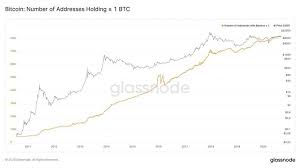 The asset went from $10,000 to $20,000 in a mere 18 days. The Number Of Bitcoin Wholecoiners Just Hit A Fresh All Time High Bitcoin All About Time Currency Market