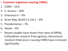 What does crbsi stand for? Catheter Associated Blood Stream Infections