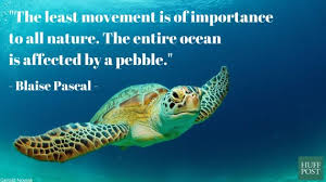 You wake up one day and realise that your list of top 13 famous quotes and sayings about famous marine biology to read and share with friends on. Slogan On Save Marine Life Google Search Turtle Quotes Ocean Quotes Earth Day Quotes