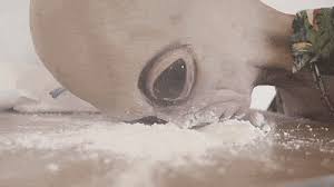 Grey Alien Snorting Cocaine GIFs - Find & Share on GIPHY