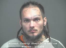 HENSLEY, COREY ADAM Charges: Federal Safe Housing This information and more  is available https://apps.myocv.com/share/a95737804