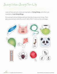 Check spelling or type a new query. Living Vs Non Living Worksheet Education Com