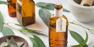 12 Eucalyptus Oil Benefits The Best Ways To Use Eucalyptus Oil