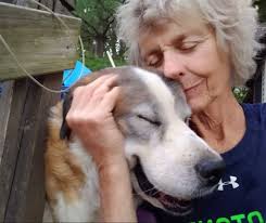 This sweet girl is looking for a great home with open land.