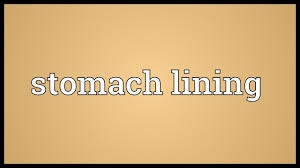 Maybe you would like to learn more about one of these? Stomach Lining Meaning Youtube