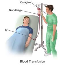 Image result for Blood Transfusion