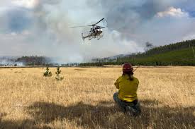 Image result for Agricultural Yellow 2000 Fleet