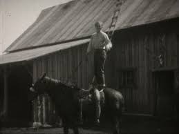 Sheila Denny-Brown Collection