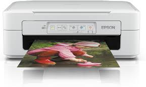 Printer and scanner software download. Epson Xp 243 Xp 245 Xp 247 Series Printer Driver Fasrcharlotte