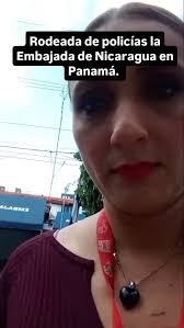 bajoellente11 (@bajoellente11) · Instagram 照片和视频