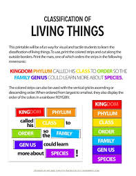 Classification Of Living Things Science Curriculum