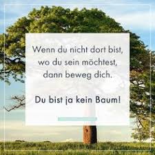 160 Spruche Zum Nachdenken Ideen Spruche Nachdenken Nachdenkliche Spruche Bigamie heißt, dass man eine frau zuviel hat.