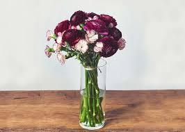 The Red Velvet Product Photo Modern Floral Arrangements Bouquet Arrangements Flower Delivery