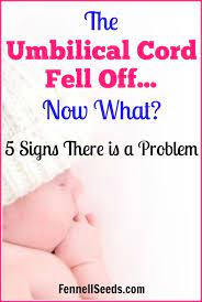 Your Baby S Umbilical Cord Fell Off Early 5 Signs There Is A Problem Baby Umbilical Cord New Baby Products Baby Sleep Problems