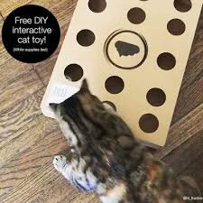 Voir plus d'idées sur le thème chat, maison toilette chat, mobilier pour chat. Modkat Tray Maison De Toilette Pour Chat Zooplus