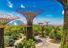 Set in the heart of singapore's downtown, gardens by the bay is home to a diverse collection of over 1.5 million plants that hail from every continent except antarctica. How To Visit Singapore S Gardens By The Bay In A Day