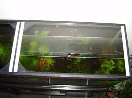 How To Make A Sliding Aquarium Lid Fishing Tank Ideas Of Fishing Tank Fishingtanks Fishing Tanks How To Make A Diy Fish Tank Fishing Tank Fish Tank