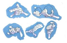 Skeleton Hand Study Concept Art Character Design Tips Art