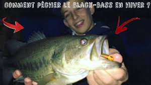 La pêche du black bass au leurre de surface est la pêche la plus amusante qui soit. Comment Pecher Le Gros Black Bass En Hiver Youtube