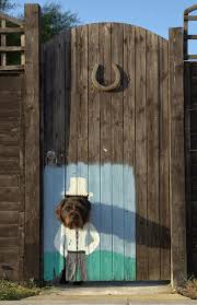 Pin By Sarah Sansom On Make Me Giggle Fence Art Garden Gates Backyard Fences