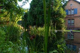 Günstige oder möblierte wohnungen gesucht? Unterkunft Appartment Villa Rosenau Wohnung In Hanau Am Main Gloveler