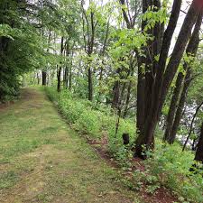 Image result for Springfield Irving Springfield VT