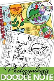 Photosynthesis Doodle Notes Science Doodle Notes Science Doodles Doodle Notes Doodle Notes Science