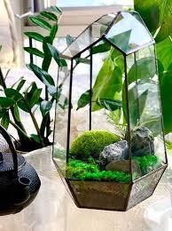 15 Terrarium Kits That Have Everything You Need To Bring Some Green Into Your Home In 2020 Terrariums Kits Moss Terrarium Diy Succulent Terrarium