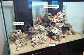 We are here to show that this isn't the case by walking you through everything you need to know when starting a new saltwater aquarium. Aquascape Ideas Reef Tank