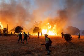 Wildfires declared 'national security threat' in Europe as blazes spread to  Greece and UK | The National