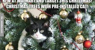 Pin On All Types Of Funny Pictures Funny Memes Funny Jokes