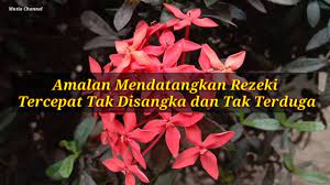 Doa mendatangkan rezeki tak terduga islam memiliki panduan yang baik dalam menjalankan setiap kegiatan di berbagai aspek kehidupan. Amalan Mendatangkan Rezeki Tercepat Tak Disangka Dan Tak Terduga