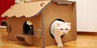 Check spelling or type a new query. 29 Tips Merawat Cara Melatih Kucing Ideas Cats Animals Cat Language