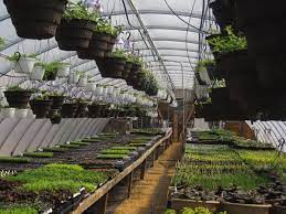 Interior design magazine and interior design buyers guide. Resultado De Imagen De Polytunnel Interior Design Vaxthus