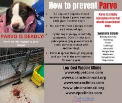 Animal Friends Humane Society - Attention Butler County Dog Owners: Parvo  Is On The Rise! Animal Friends Humane Society In Butler County, Ohio Has  Seen A 450% Increase In Canine Parvovirus This