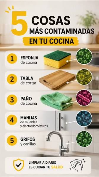 Tu cocina realmente está limpia? 🧽🚨 Aunque parezca limpia, las esponjas acumulan humedad y restos de comida🤢, creando el ambiente ideal para el crecimiento de bacterias como Pseudomonas, Salmonella y E. coli,