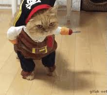 Top 25 grumpy cat memes cattime. Funny Cat Gifs Tenor