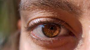 Hypertensive Retinopathy Symptoms Causes And Treatments