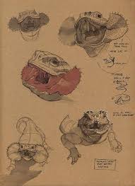 Peter Han , Khang Le