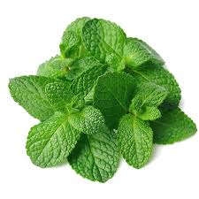Peppermint is an operating system that is insanely fast, sleek, and user friendly. Peppermint I Mentha Piperita I L En Soria Natural