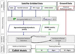 Image result for Andropogon pseudapricus