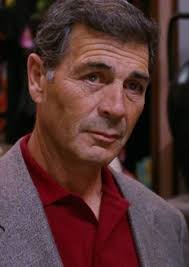 Fan Casting Robert Forster as Agent Patrick Denham in The Wolf of Wall  Street (1993)