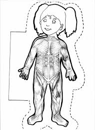 Betul Ipek Adli Kullanicinin Vucudumuz Panosundaki Pin Goruntuler Ile Insan Vucudu Boyama Sayfalari Egitim Faaliyetleri