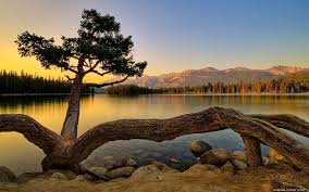 Nature Background Hd Download Nature Background Hd Download Hd Download Download Nature Background Hd Downlo Beautiful Nature Hd Nature Wallpapers Scenery