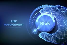 Image result for Risk Management