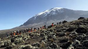 Kilimanjaro, merakın tutkuya dönüştüğü yer. It S Official We Re The Best Kilimanjaro Tour Company Nature Discovery