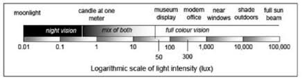 the scale of light intensities from moonlight to